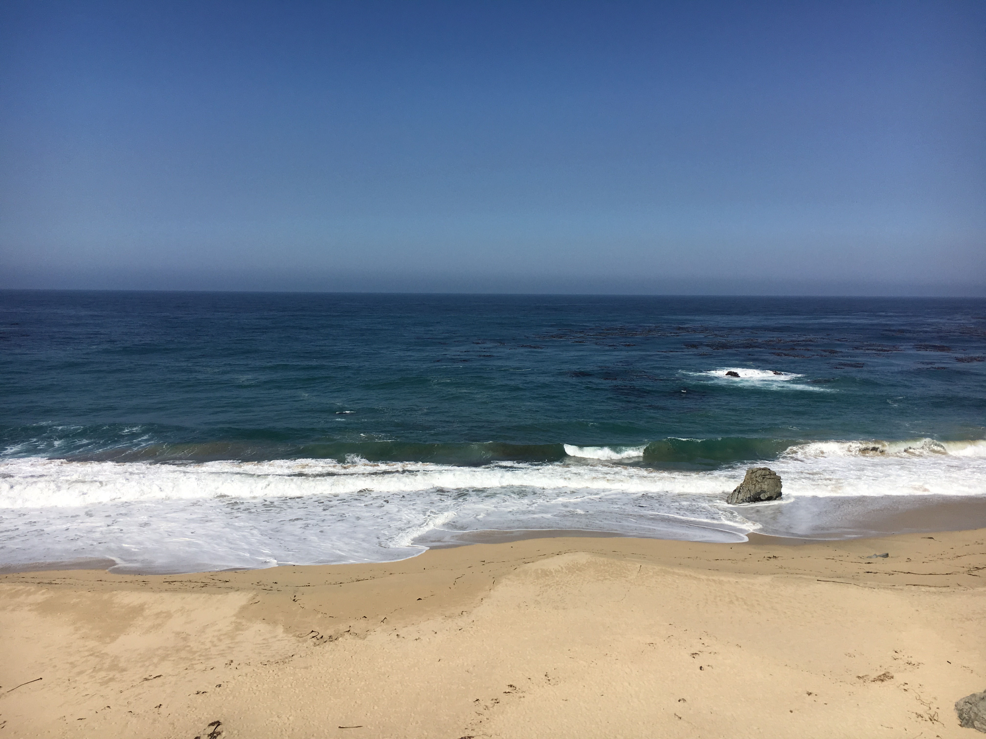 Rest and heal at the Pisces New Moon