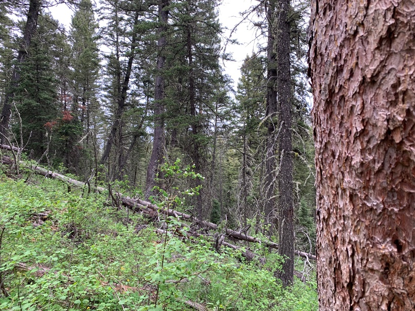 Floods, community and this week’s podcast