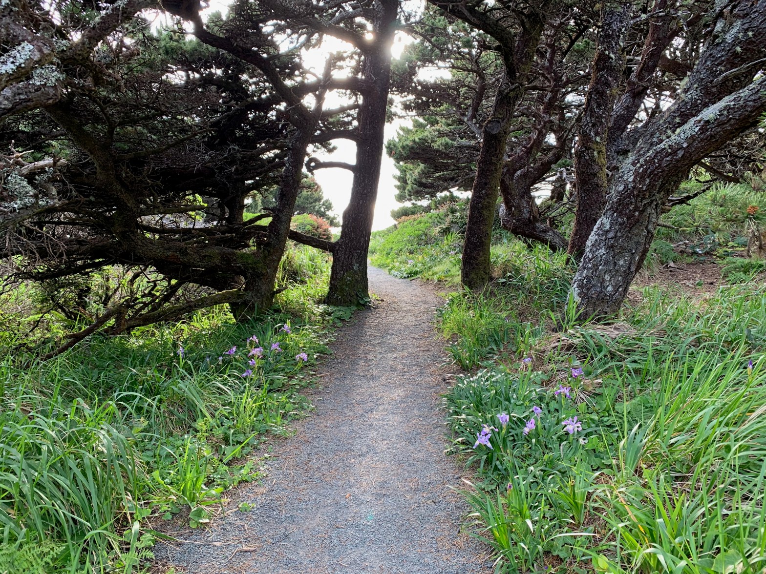 What are you Prepping For?